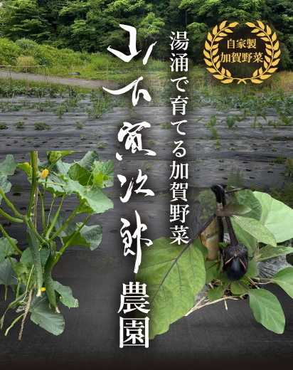 山下寅次郎農園 無農薬加賀野菜